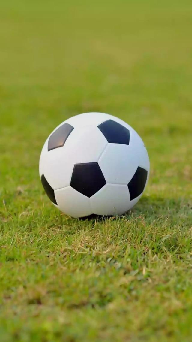 今晚14场足彩对阵表言平台界面展示